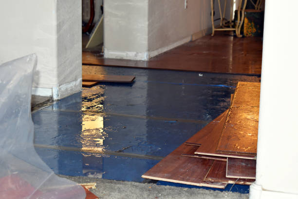 Professional Sewage Cleanup technician working in Edgar, WI